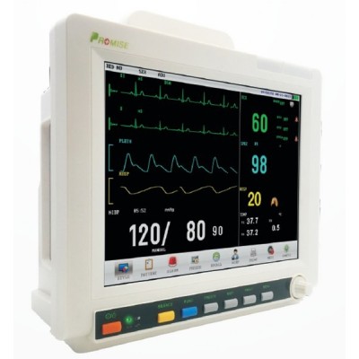 Monitor Promise PRO-M12D