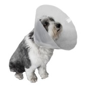 Collare Curavet cani e gatti