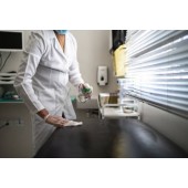 DISINF.LH DECS AMBIENTE PLUS   X 1  LT