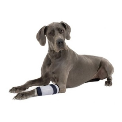 Protezione Aghi venosi