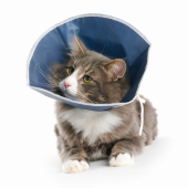 Collare Buster Soft cani e...